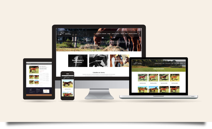 Diseño de Página Web para Criadero Rancho Santa Rosa - CreadoresWeb.mx