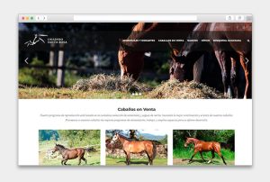 Diseño de Página Web para Criadero Rancho Santa Rosa - CreadoresWeb.mx